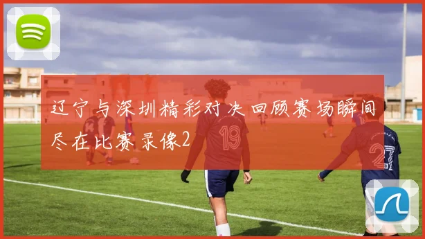 辽宁与深圳精彩对决回顾赛场瞬间尽在比赛录像2