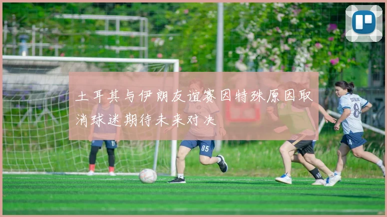 土耳其与伊朗友谊赛因特殊原因取消球迷期待未来对决