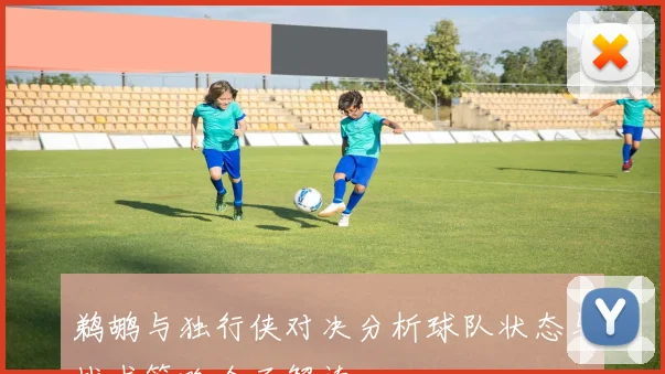 鹈鹕与独行侠对决分析球队状态与战术策略全面解读