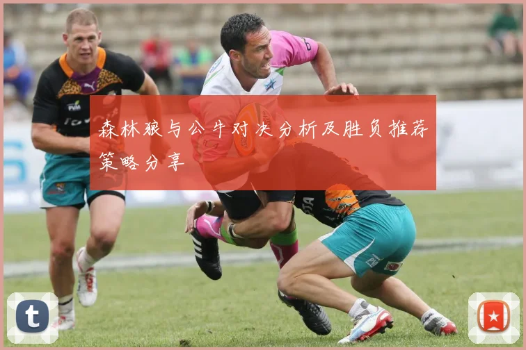 森林狼与公牛对决分析及胜负推荐策略分享