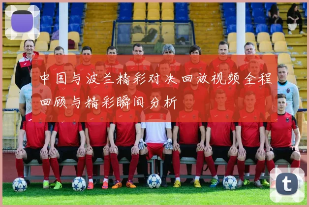 中国与波兰精彩对决回放视频全程回顾与精彩瞬间分析