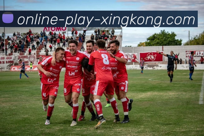 星空体育平台生态图