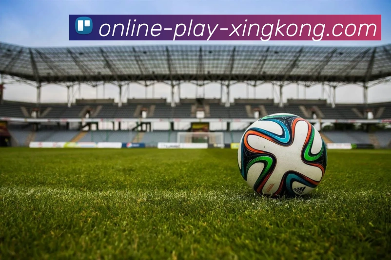 星空体育APP 封面图