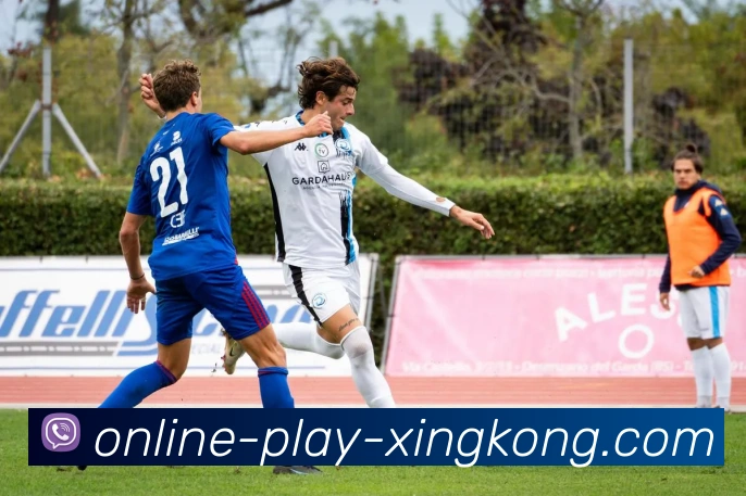 数据防护可视化